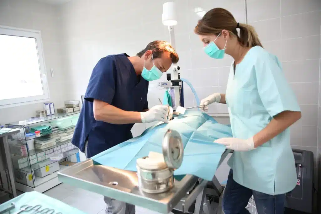 Vétérinaires autour d'une table d'opération effectuant une intervention chirurgicale sur un animal. ​​





