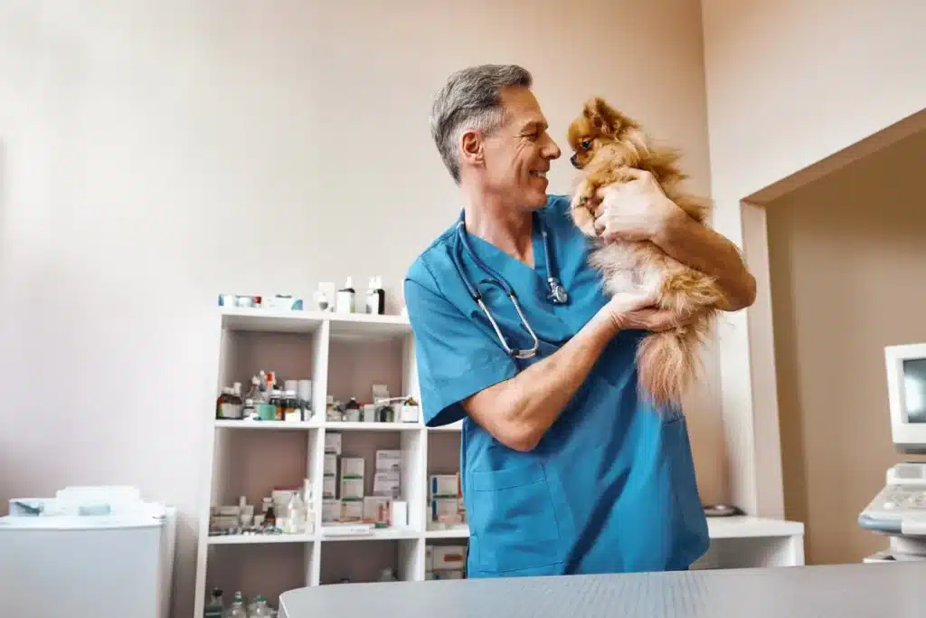 Vétérinaire tenant un petit chien dans une salle d'examen équipée. ​​