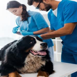 Médecine préventive