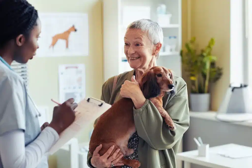 Prévention vétérinaire pour un chien, lors d’une visite en cabinet.
